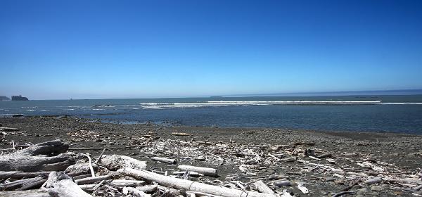 Hoh River Beach