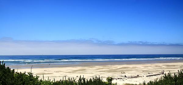 Driftwood Beach State Recreation Site