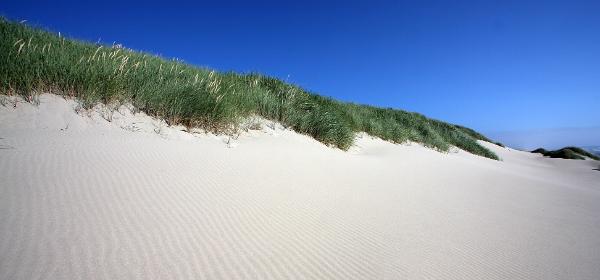Siltcoos Recreation Area Oregon Dunes