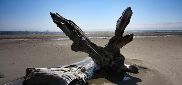 Cape Blanco State Park