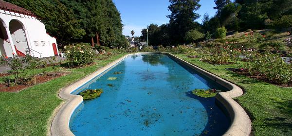 Morcom Rose Garden