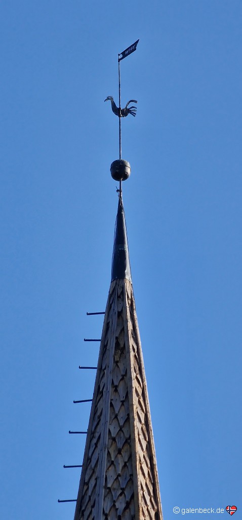 14.jpg