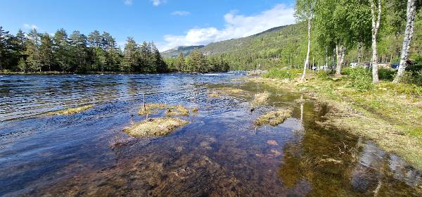 Syrtveitfossen