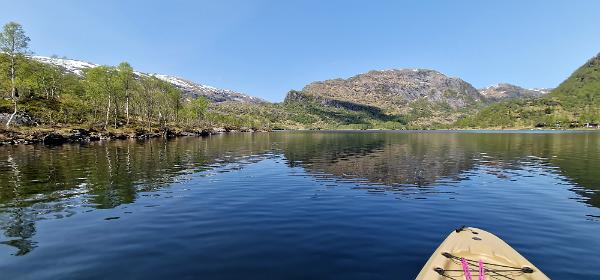 Botnavatnet