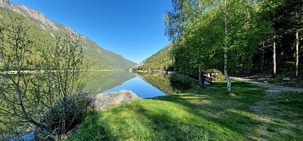 Selsvatnet