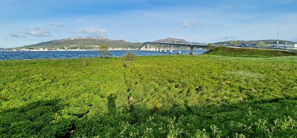 Hinnøya
