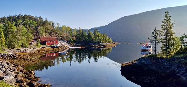 Velfjord