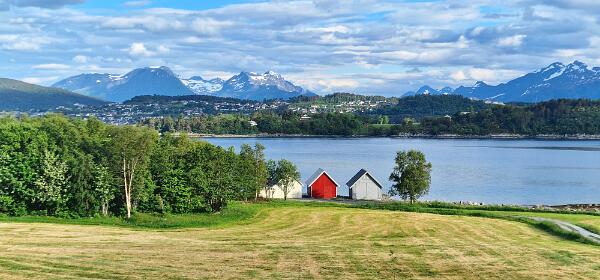 Ellingsøy