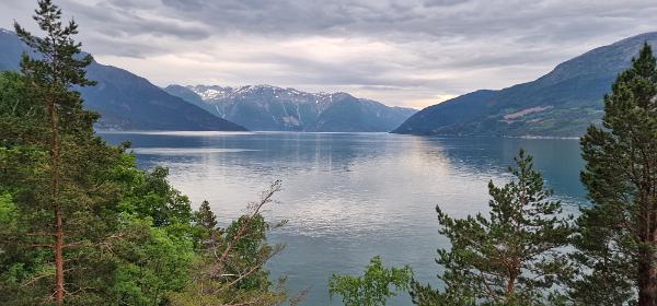 Hardangerfjord