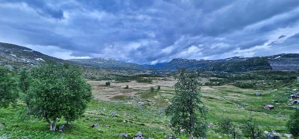 Hardangervidda