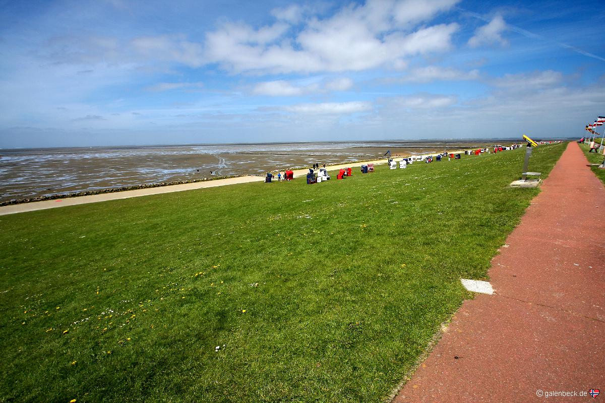 Nationalpark Wattenmeer Friedrichskoog