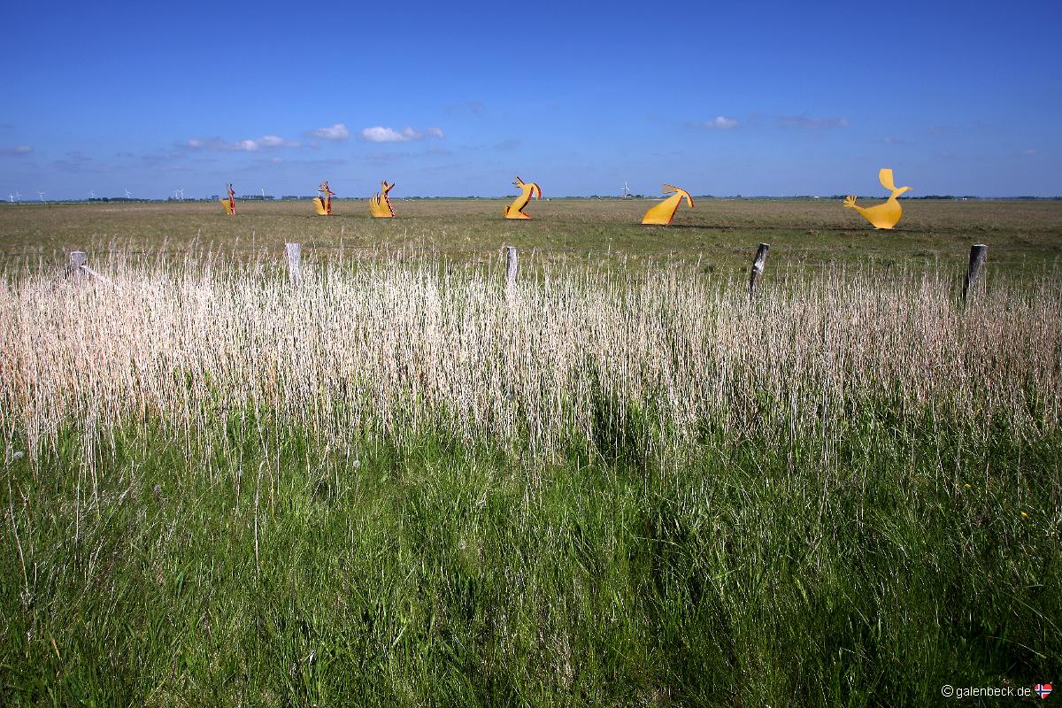 Speicherkoog Dithmarschen