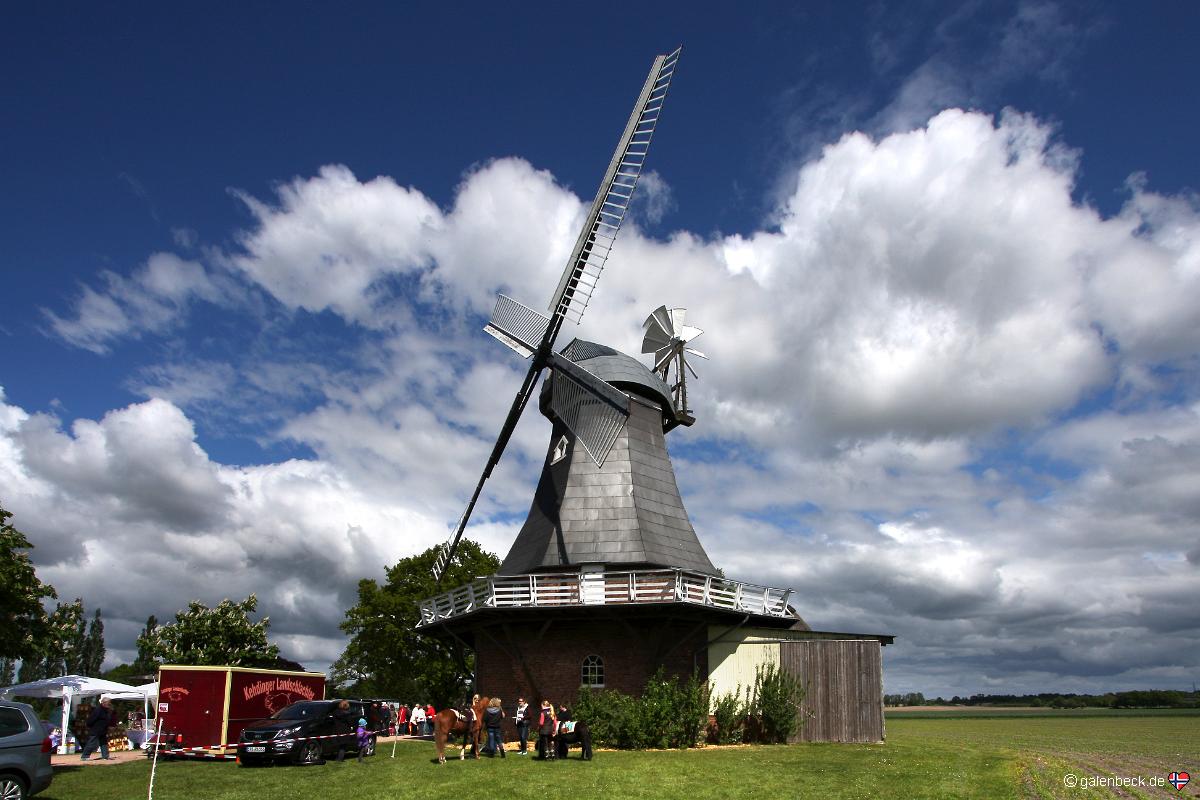 Mühle Amanda Grefenmoor