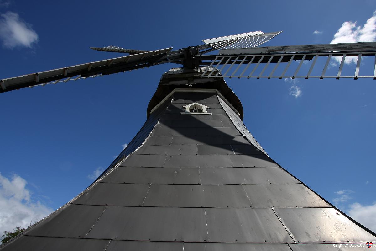 Mühle Amanda Grefenmoor