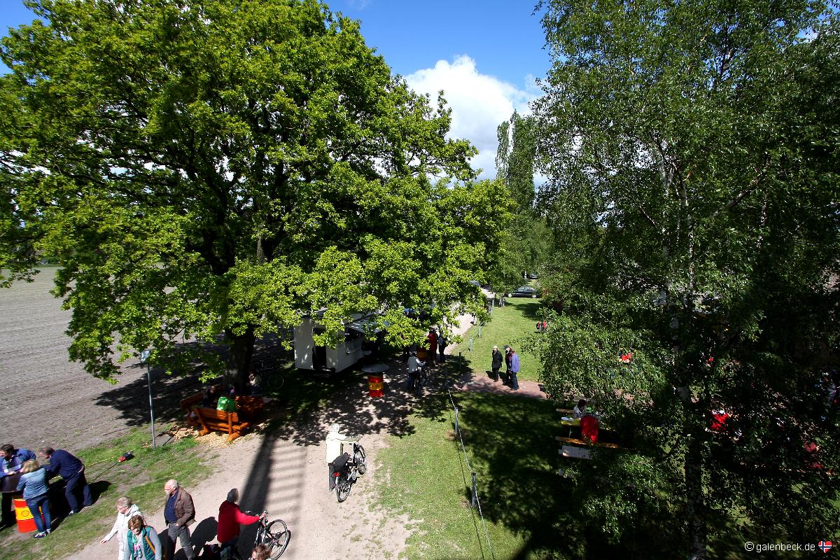 Mühle Amanda Grefenmoor
