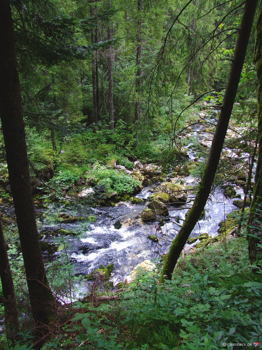 Gollinger Wasserfall