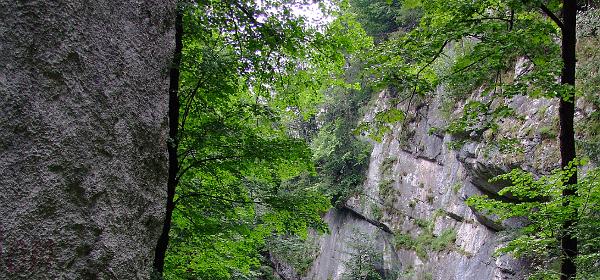 Salzachklamm 08