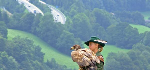 Festung Hohenwerfen 55