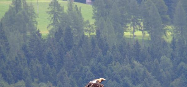 Festung Hohenwerfen 60