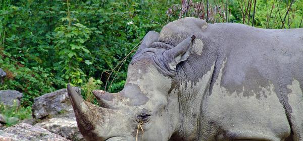Zoo Salzburg 05