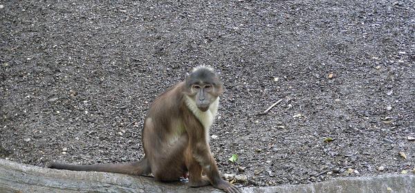 Zoo Salzburg 14