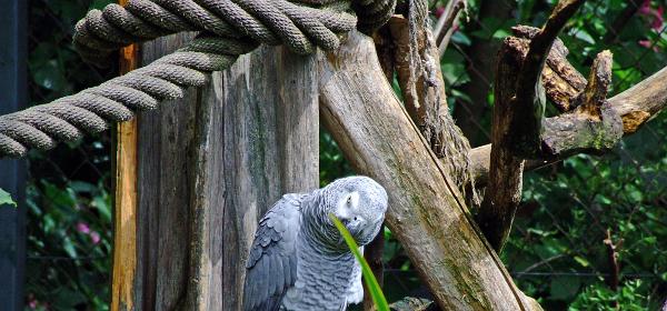 Zoo Salzburg 15