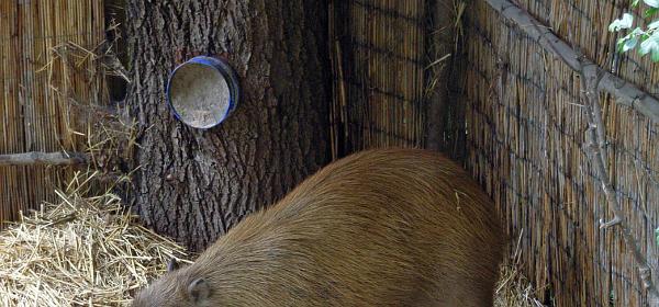 Zoo Salzburg 18