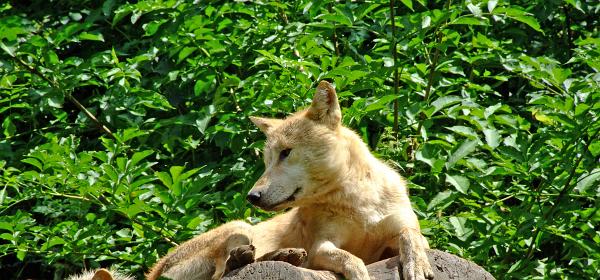 Zoo Salzburg 25