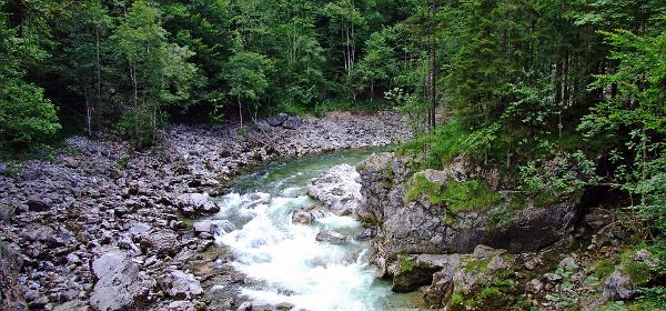 Lammerklamm 15