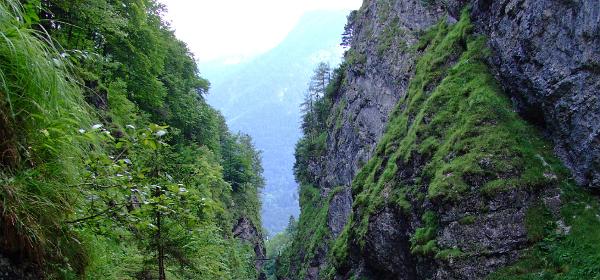 Lammerklamm 22