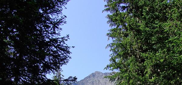 Talschluss Kolm Saigurn 04