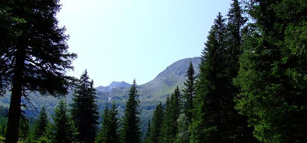 Talschluss Kolm Saigurn 05