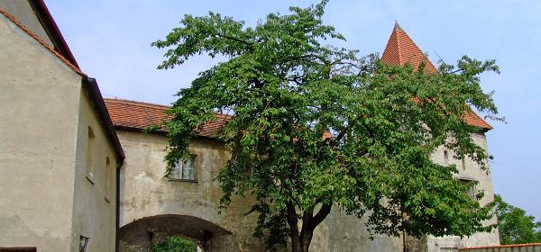 Burg Burghausen 44
