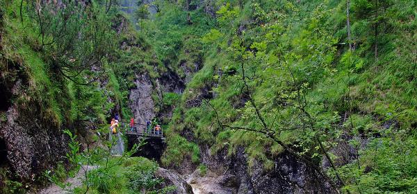 Almbachklamm 14