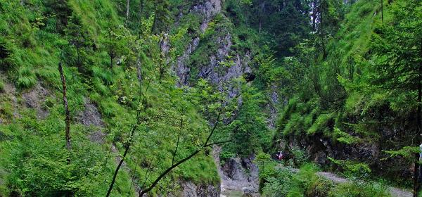 Almbachklamm 15