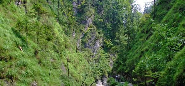 Almbachklamm 17