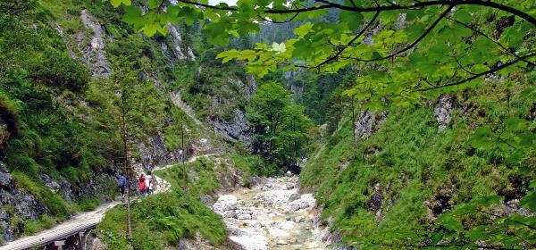Almbachklamm 21