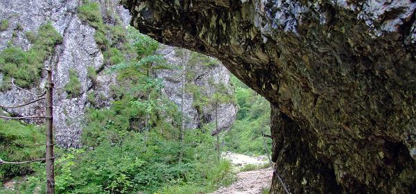 Almbachklamm 23