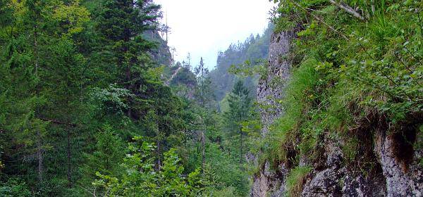 Almbachklamm 24