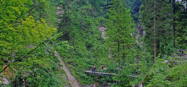 Almbachklamm 28