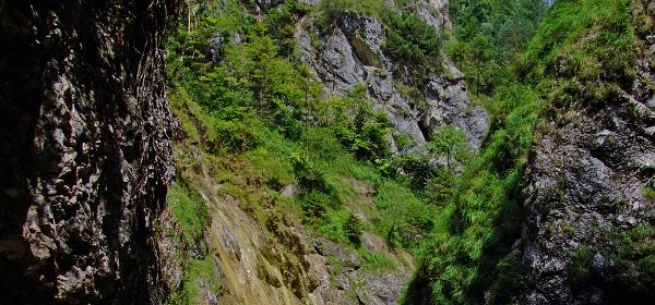 Almbachklamm 33