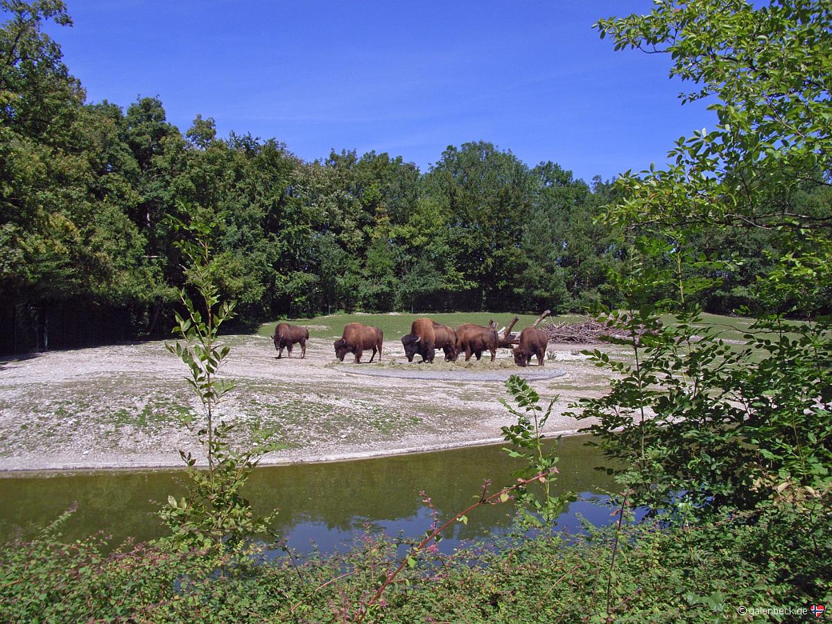 Zoo München