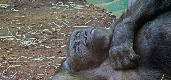 Zoo Muenchen 03