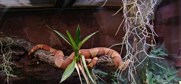 Zoo Muenchen 05