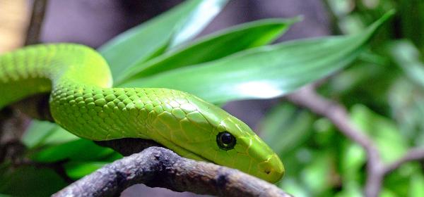 Zoo Muenchen 07