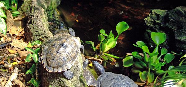 Zoo Muenchen 19