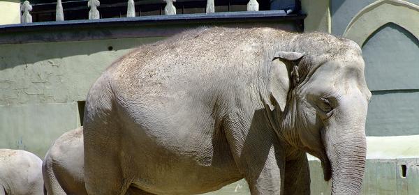 Zoo Muenchen 21