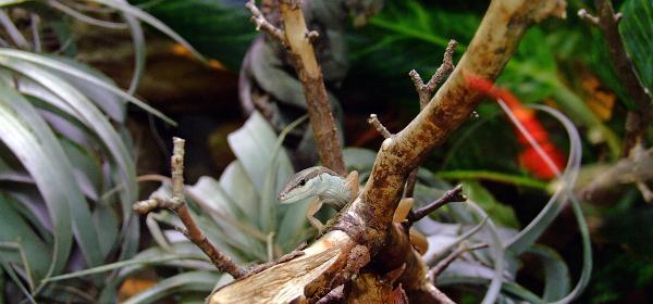 Zoo Muenchen 24