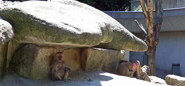 Zoo Muenchen 30