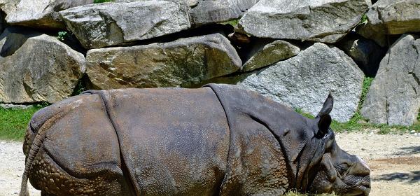 Zoo Muenchen 32